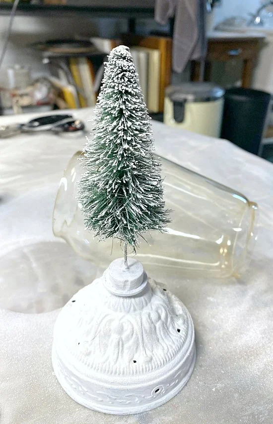 snow topped bottle brush tree