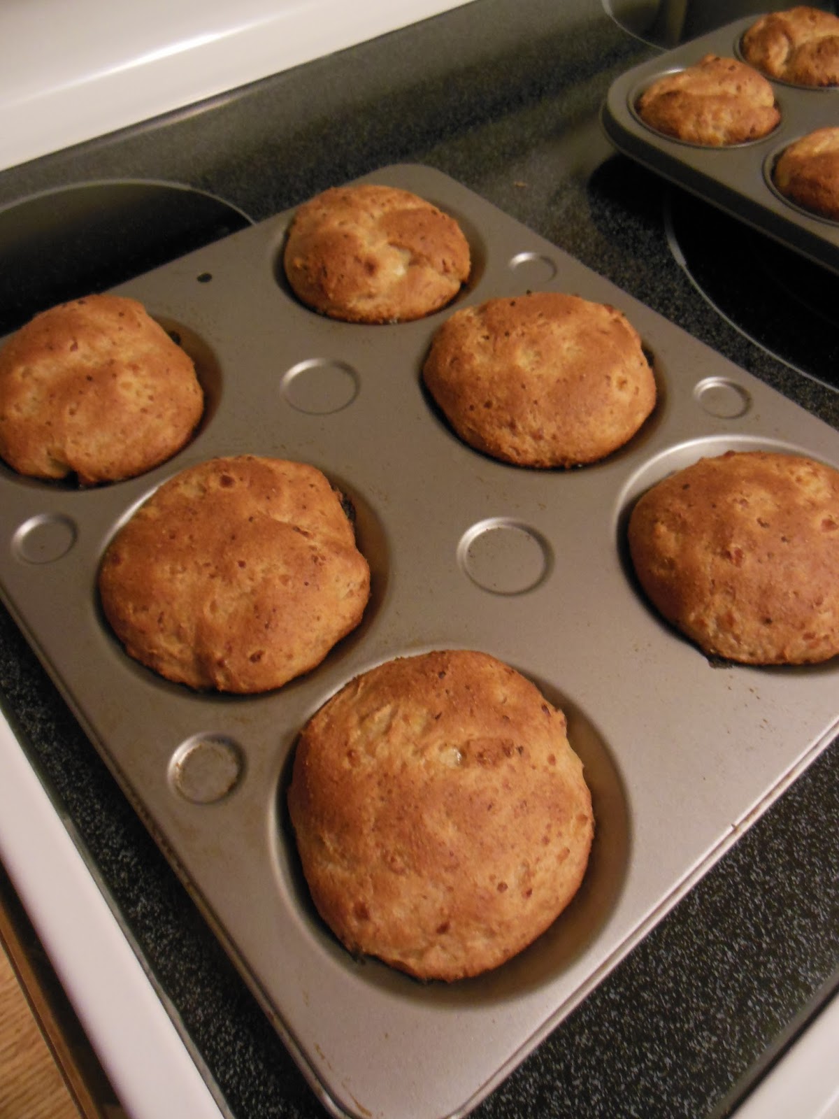 Whole Wheat Cottage Cheese Yeast Buns Scratch Made Food! & DIY