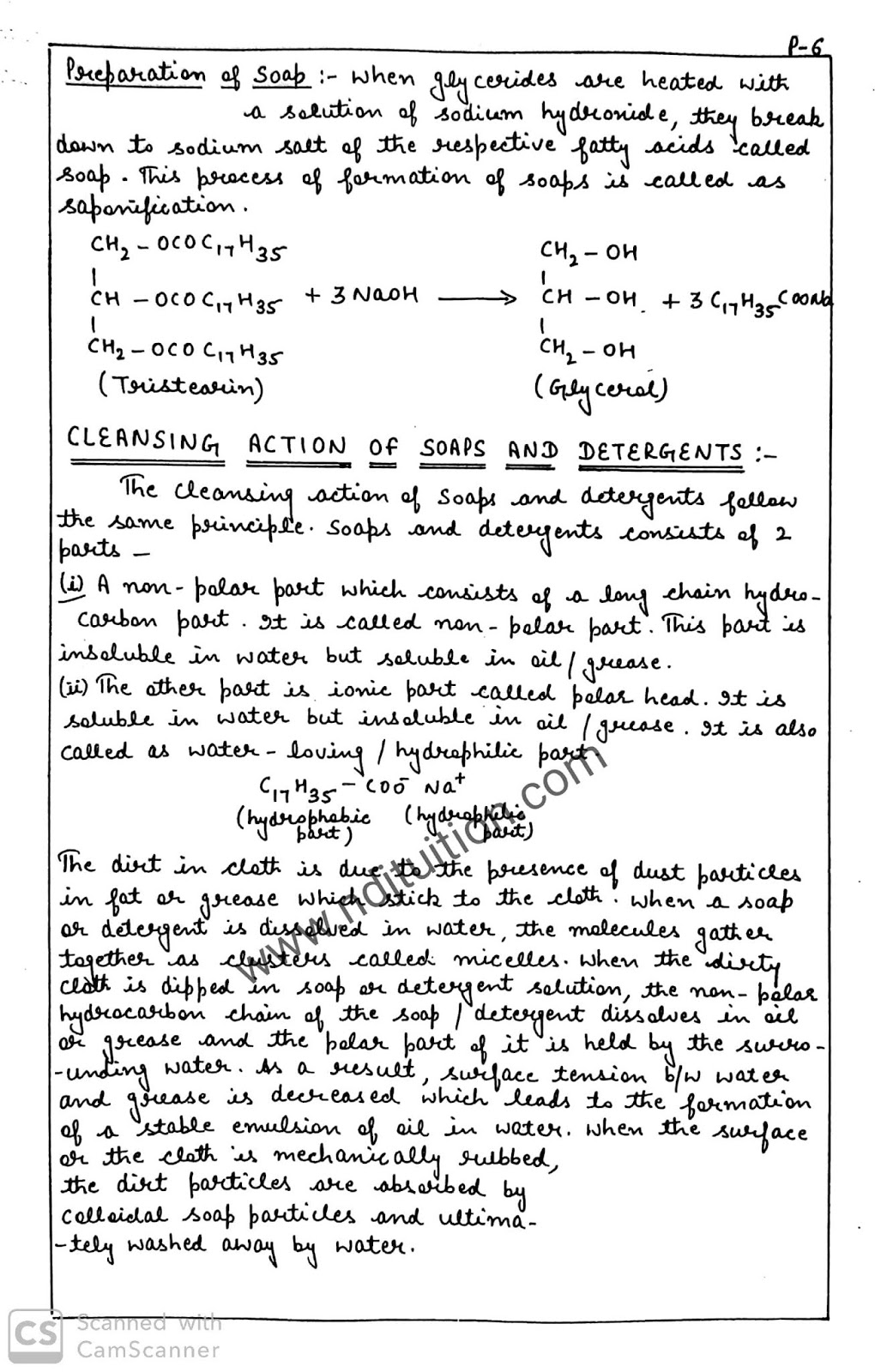 chemistry in everyday life assignment pdf download