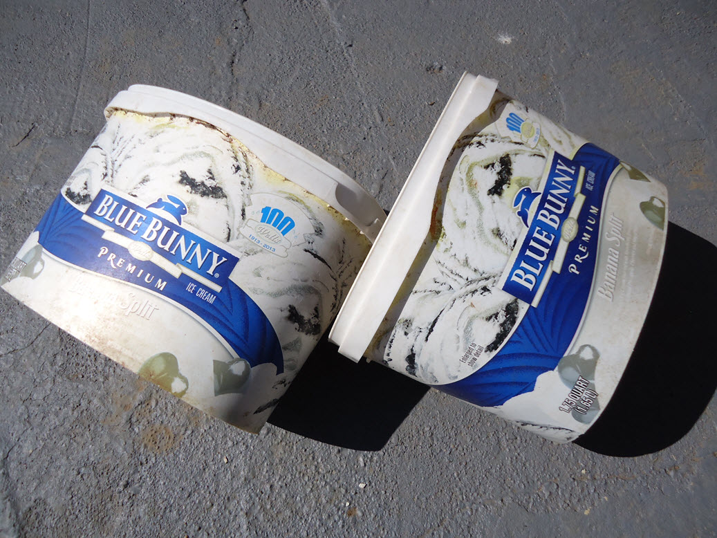 Ice Cream Container Planter Tropical Mom's Day Off