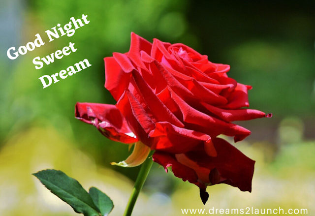 good night images for rose