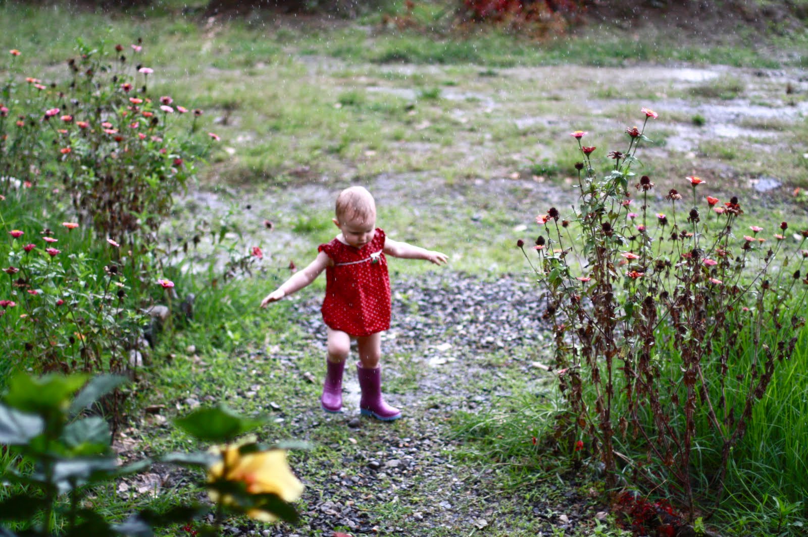 Playing in the rain