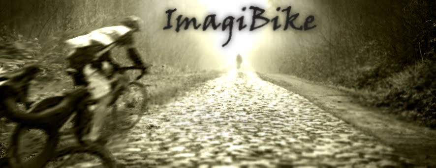 ImagiBike                                                                                          