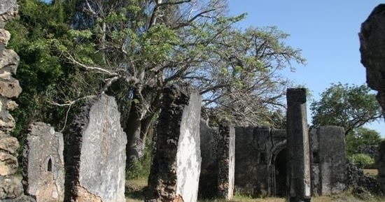 The Tongoni Ruins Tours and Safaris