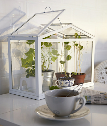 greenhouse socker ikea gardening chic