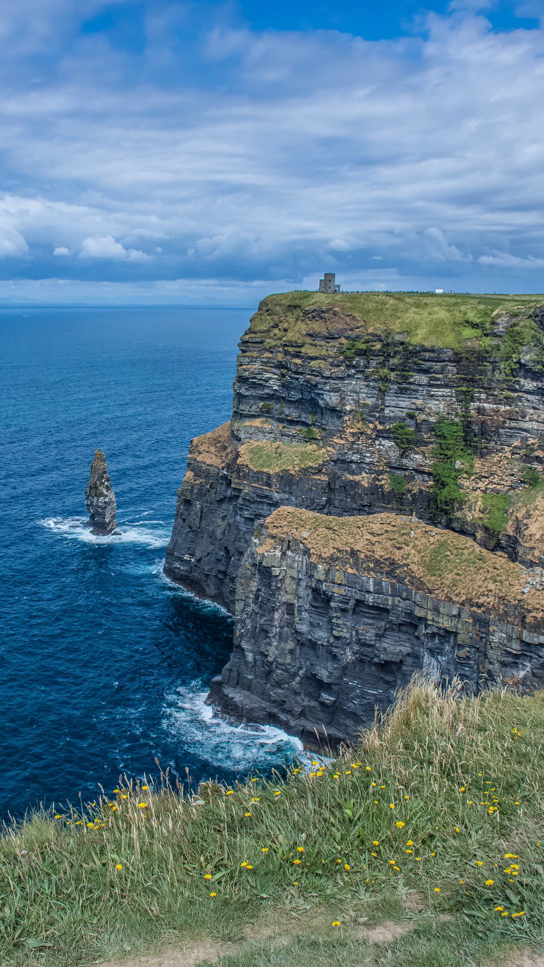 Sea, Cliff, Horizon, Yellow Flowers, Grass