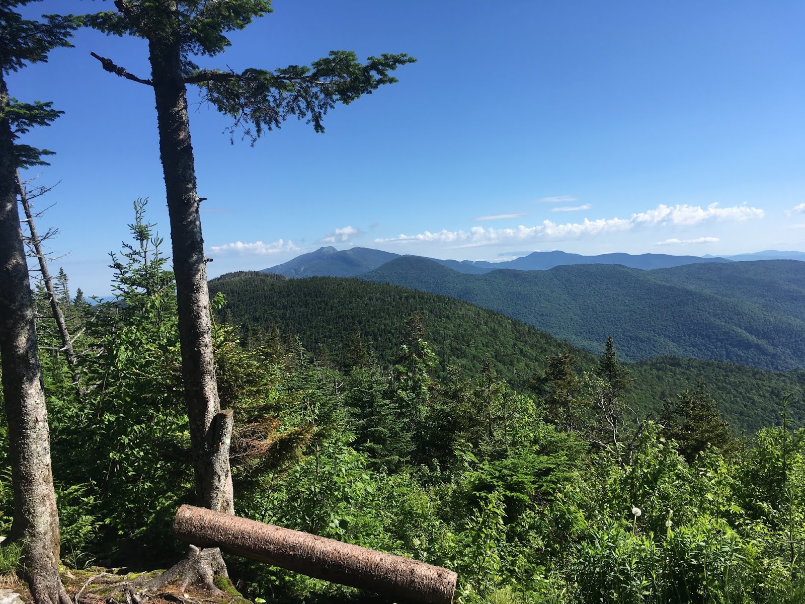 Lakewood's Wanderings and Scribbles. An Unsupported Journey Along the