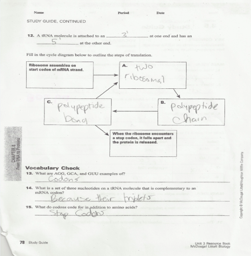 Zane's DNA: Transcription/Translation WorkSheets