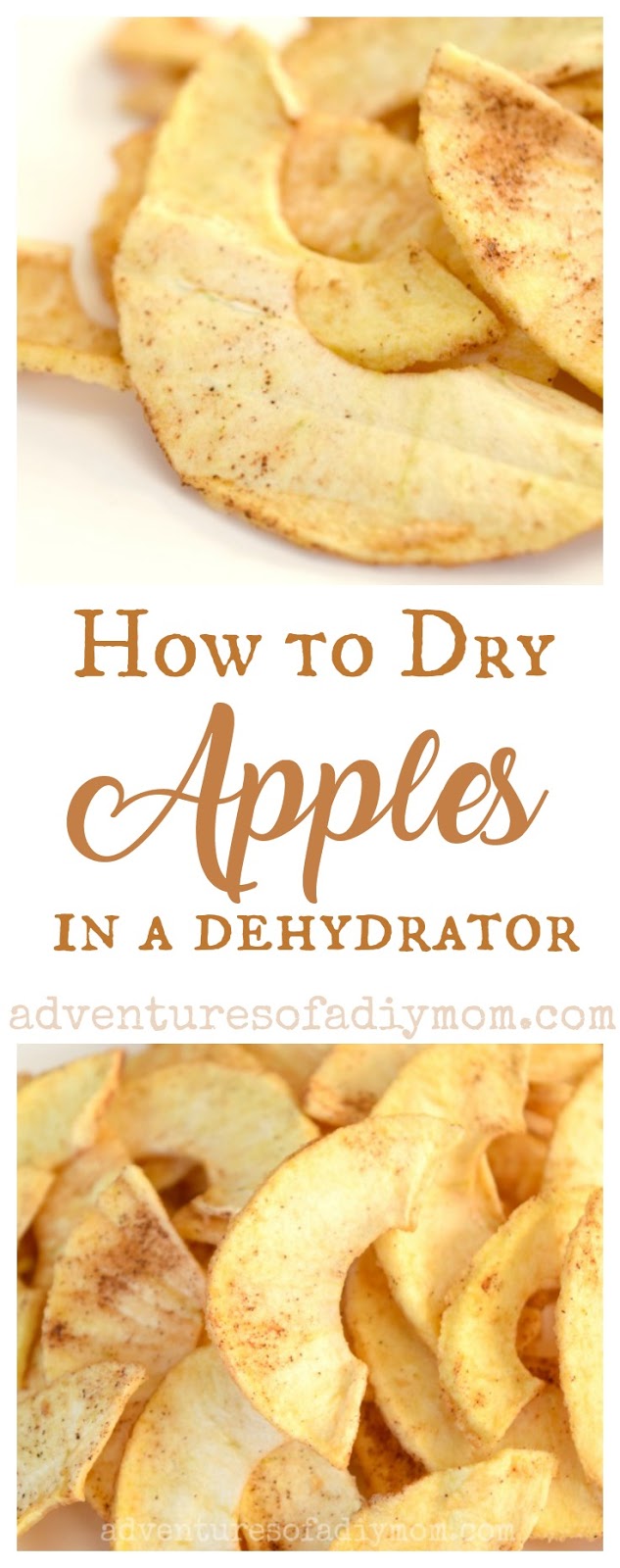 How to Dry Apples in a Dehydrator Adventures of a DIY Mom