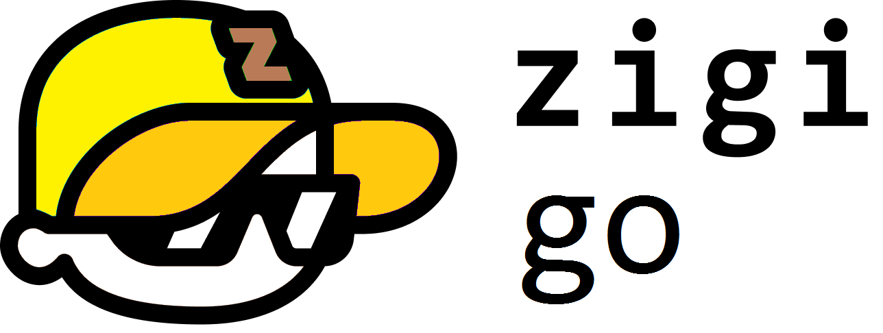 Zigi Go - Book Cheap Transfers and Taxi Worldwide