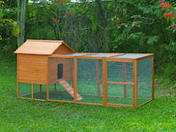 chicken coop plans simple build coops backyard homemade chickens designs coup pen yard building housing easy op hen poultry run