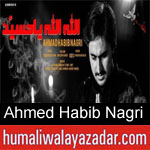 https://www.humaliwalyazadar.com/2018/09/ahmed-habib-nagri-nohay-2019.html