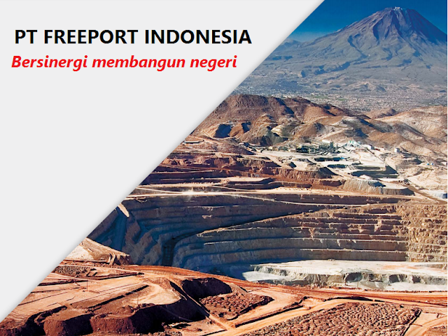 ptfi Freeport: Istana yang Merakyat di Bumi Cendrawasih