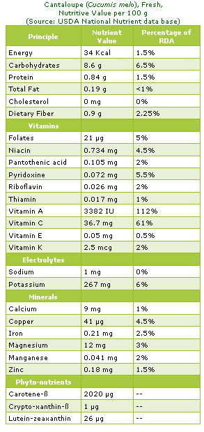 Cantaloupe Nutrition Chart