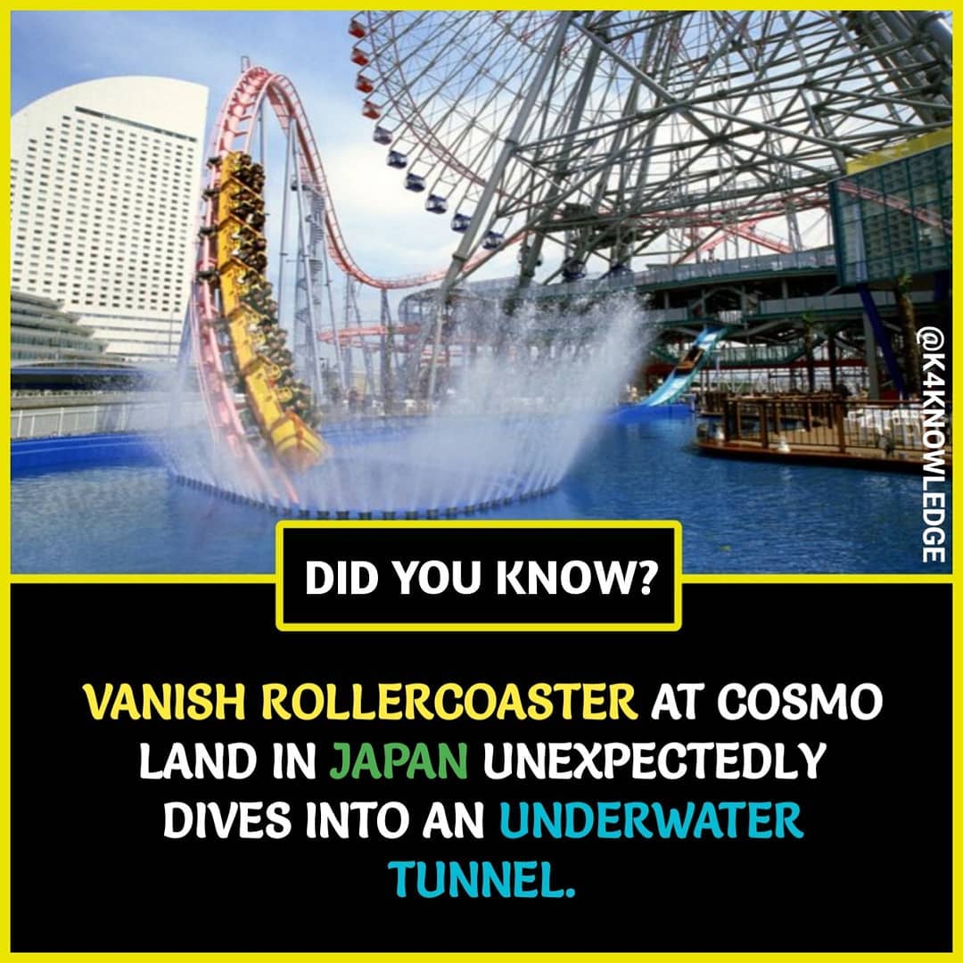 125 AMAZING FACTS visual data 3