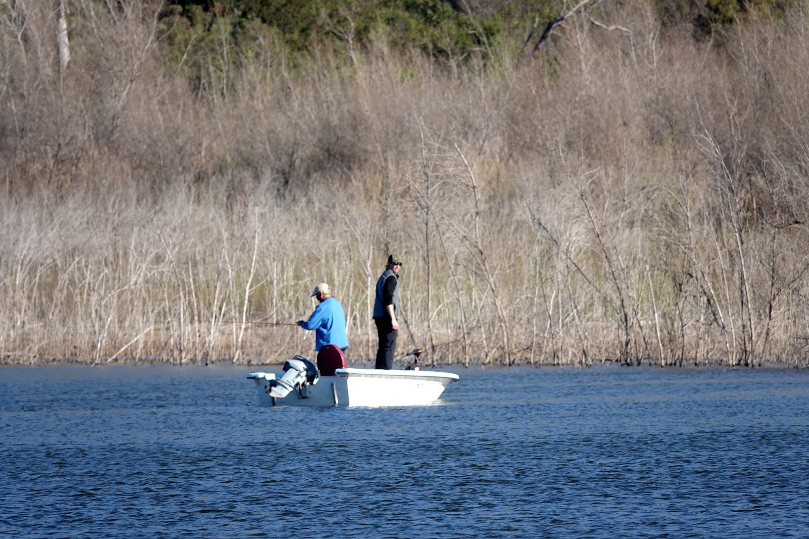 Looking for Lakes Hodges