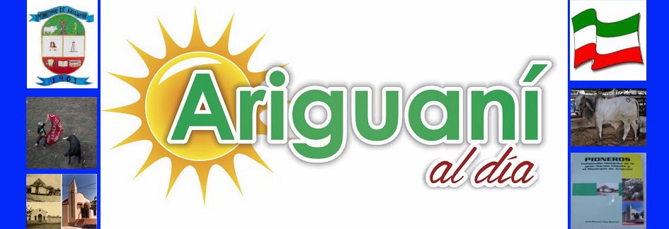 Ariguaní al Día