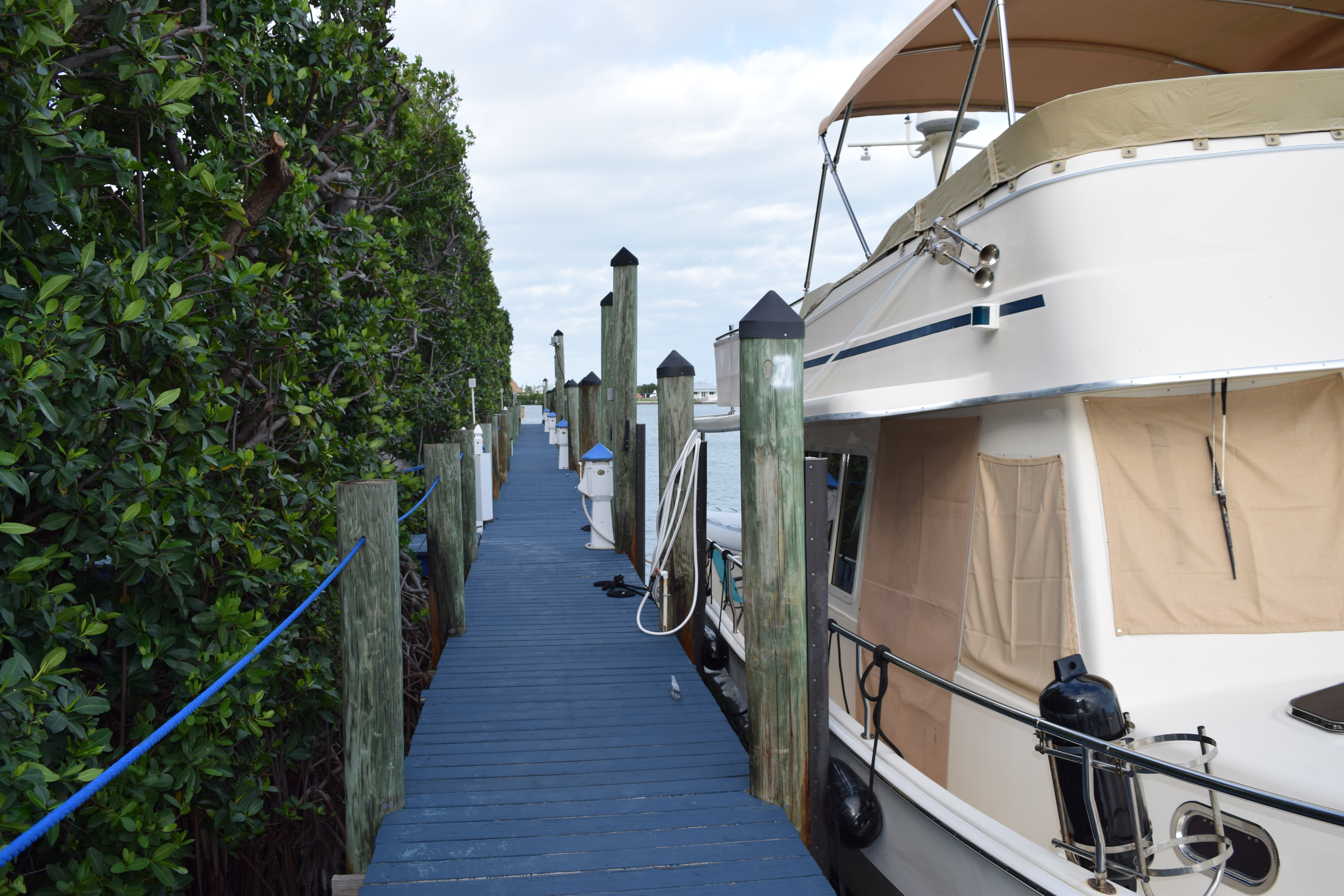 D & D's Sailing Adventures: WHITE MARLIN MARINA, MARATHON, FLORIDA