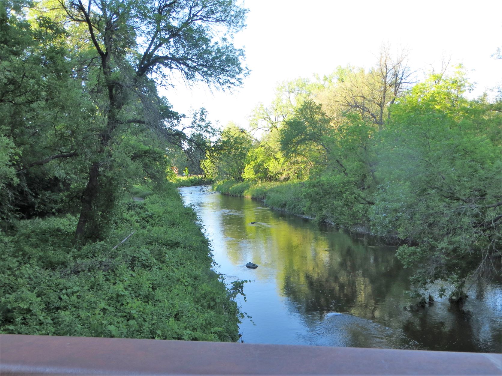 Travel Bug Buffalo River State Park in Glyndon, Minnesota Sunday, June 13, 2021