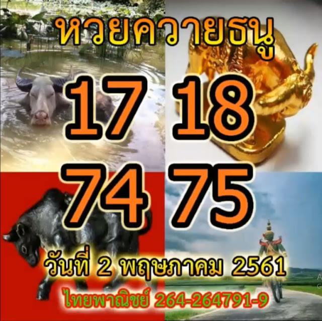 My Image 38