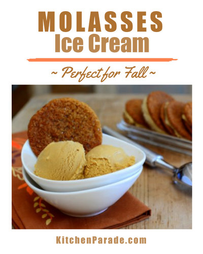 Molasses Ice Cream ♥ KitchenParade.com, unusual and alluring, familiar and unexpected. Pair it with Molasses Cookies!