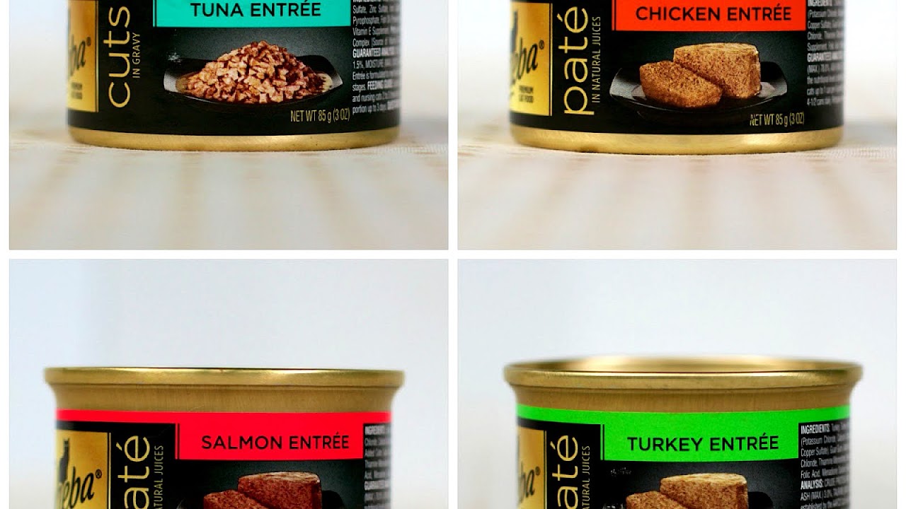 Good Cat Food Brands Cat Choices