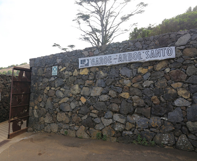 Centro de Interpretación del Árbol Garoé - El Hierro