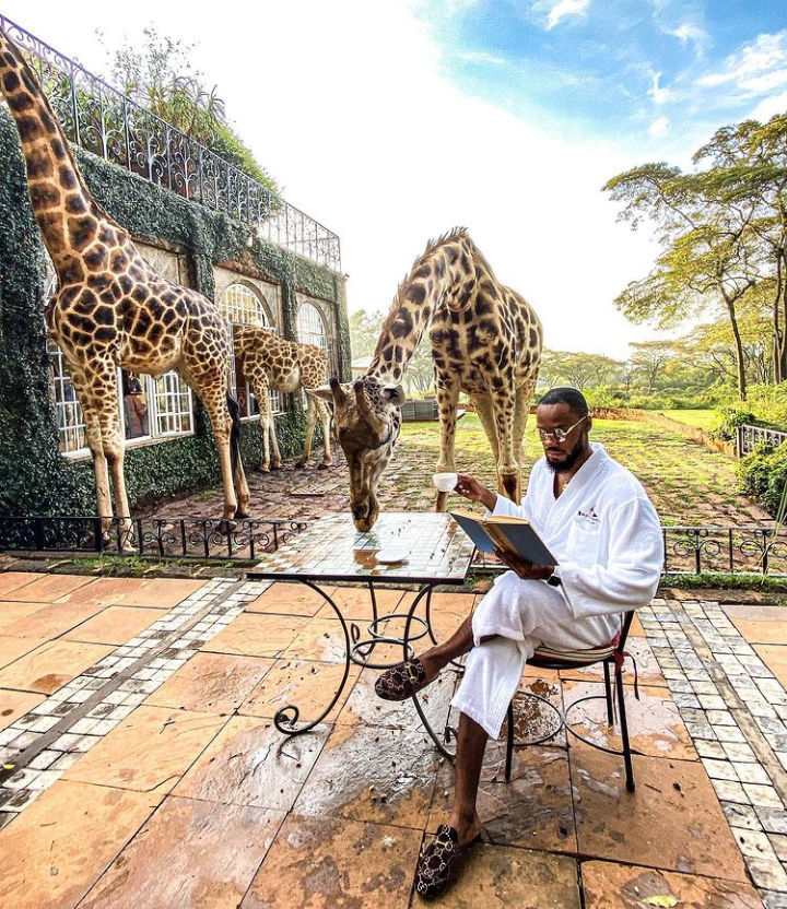 Check Out Lovely Pictures of BBNaija Tolanibaj, Prince And Dorathy Spending Time With Giraffes