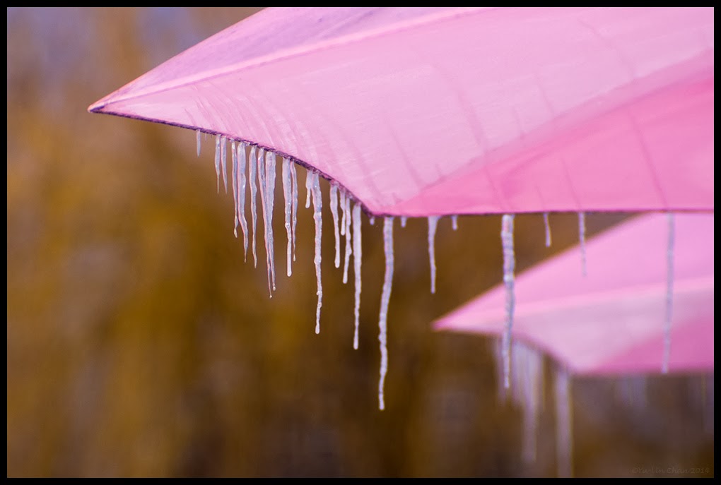 Lens Bubbles Birns & Sawyer (TEWE) Omnitar 150mm f3 & Olympus EM5