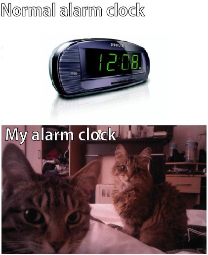 Normal Alarm Clock vs My Alarm Clock