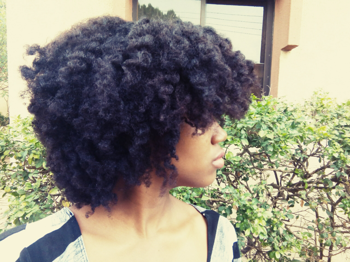 Hard Water Curlynikki Natural Hair Care