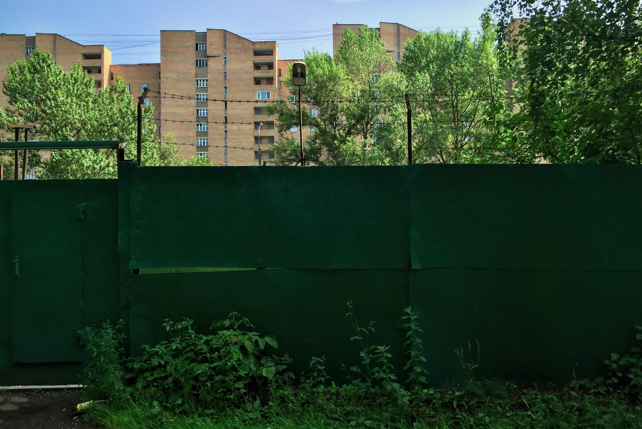 нашествие насекомых. деревня медведково москва. медведково (исторический район). ночные фото. петлякова 2006 москва.