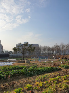 강제집행 못받은돈 회수절차안내 지급명령 압류,