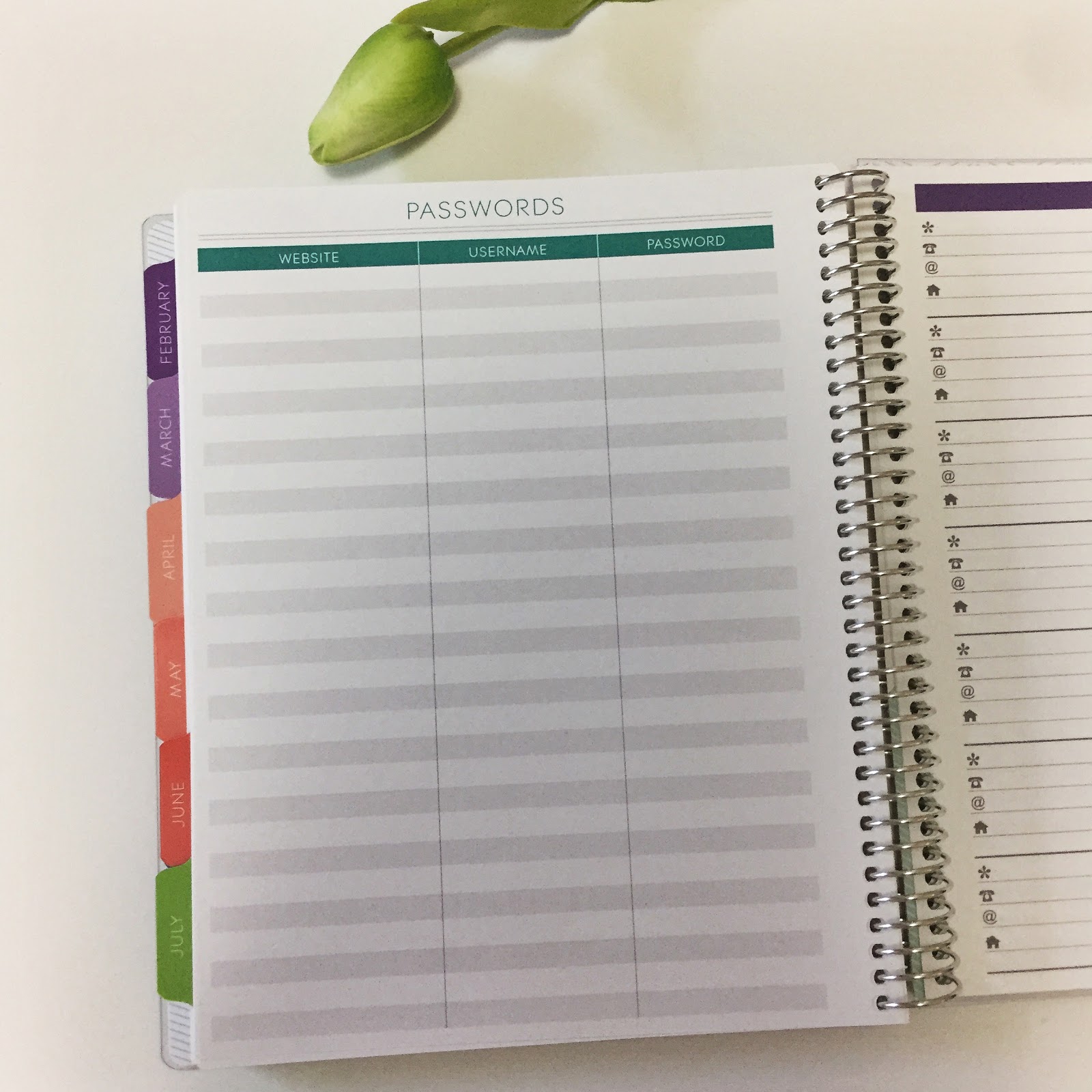 The Best Planner for Law School + Free Promo Code! The Legal Duchess