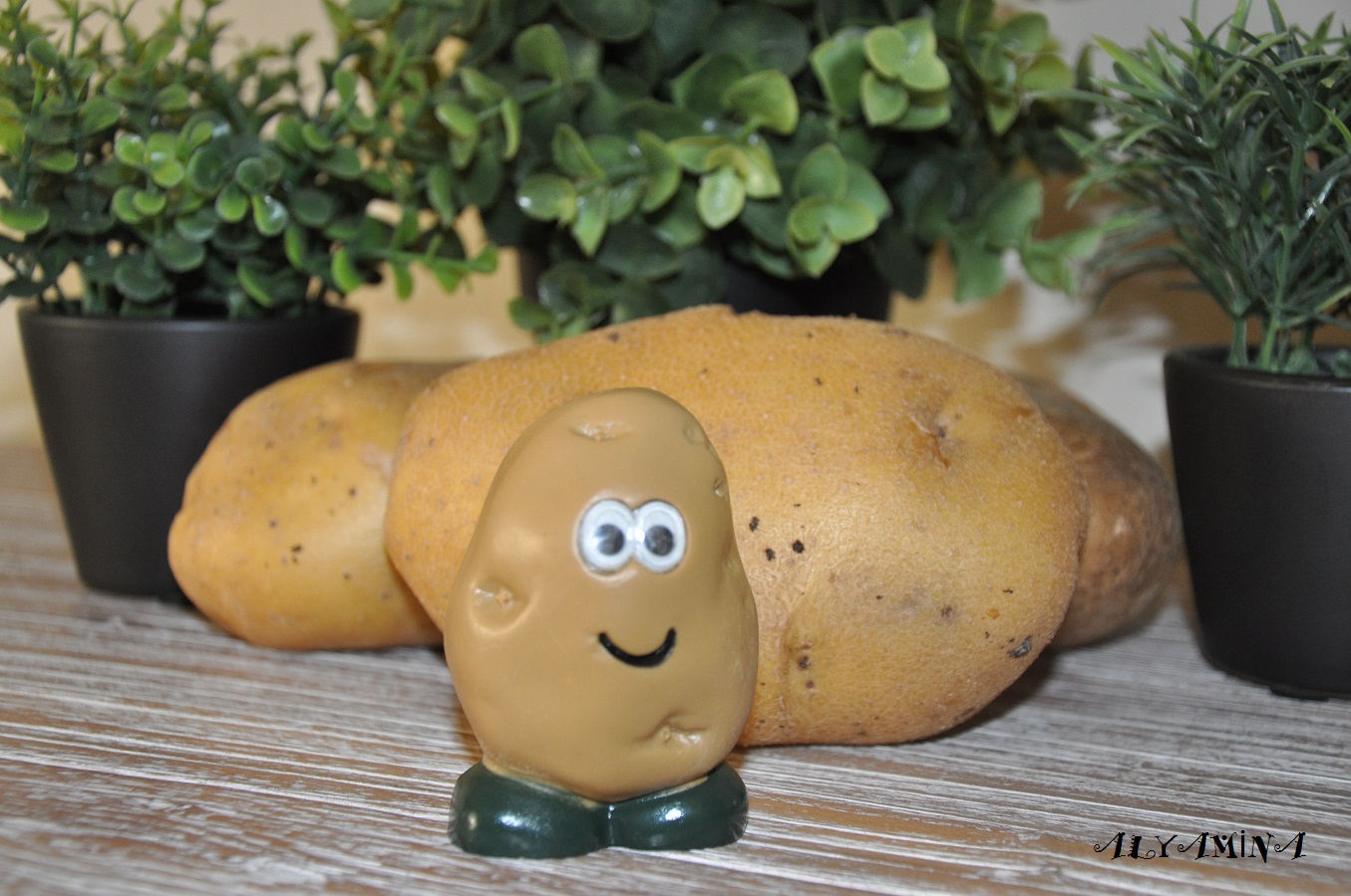 Mr potato. Мистер картофель. Мистер картофель из овощей. Мистер картофель 1203. Шоу мистера картошки.