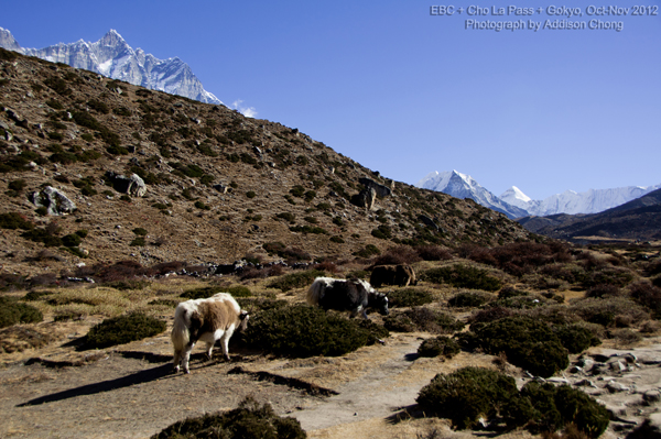 Lhotse, the Eight Thousander Lhotse, the Eight Thousander