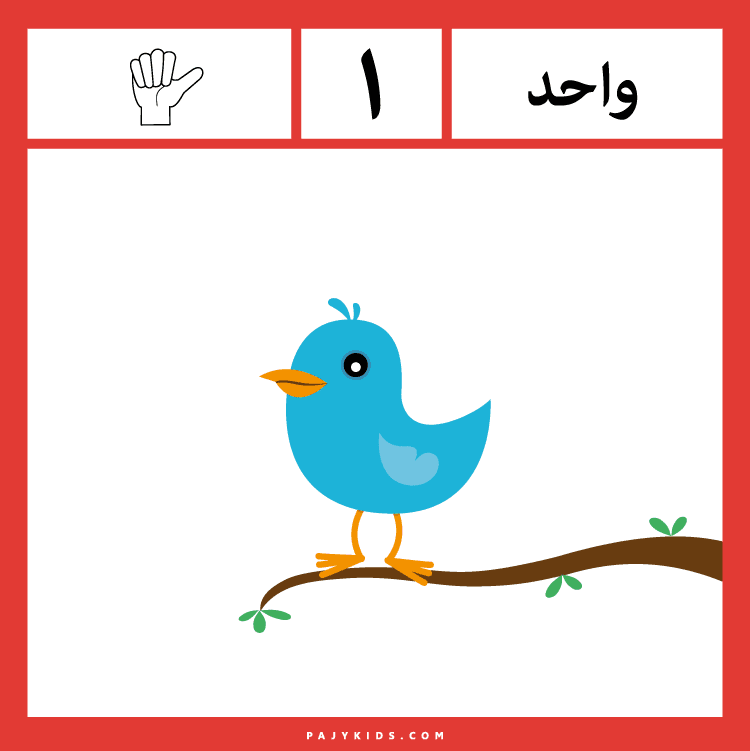 تعلم الارقام العربية للاطفال من 1 - 5، يتعرف الطفل على الارقام من خلال البطاقات الملونة والتى تحتوي كل واحدة منها على رقم ومايقابله من عناصر توضيحية لقيمة الرقم.