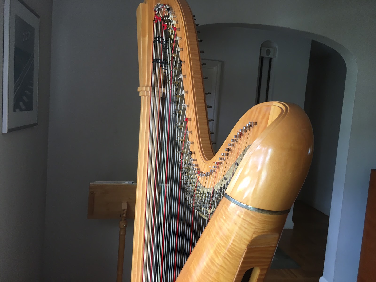 HARP IN LA HARP INFO 2 LYON & HEALY SALZEDO 8691 (47) PEDAL HARP