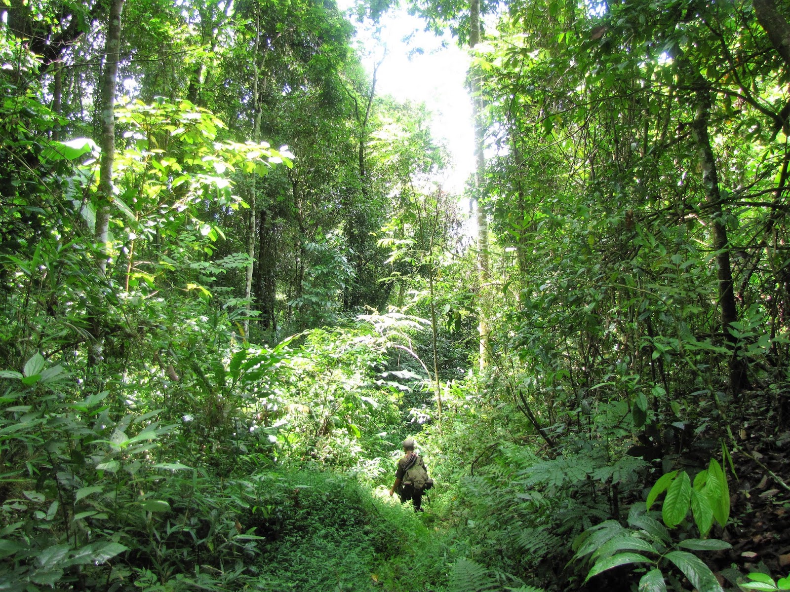 A World Away Nam Et Phou Louey National Protected Area An