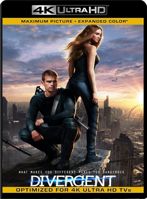 Divergente (2014) 4K 2160p UHD [HDR] Latino [GoogleDrive]