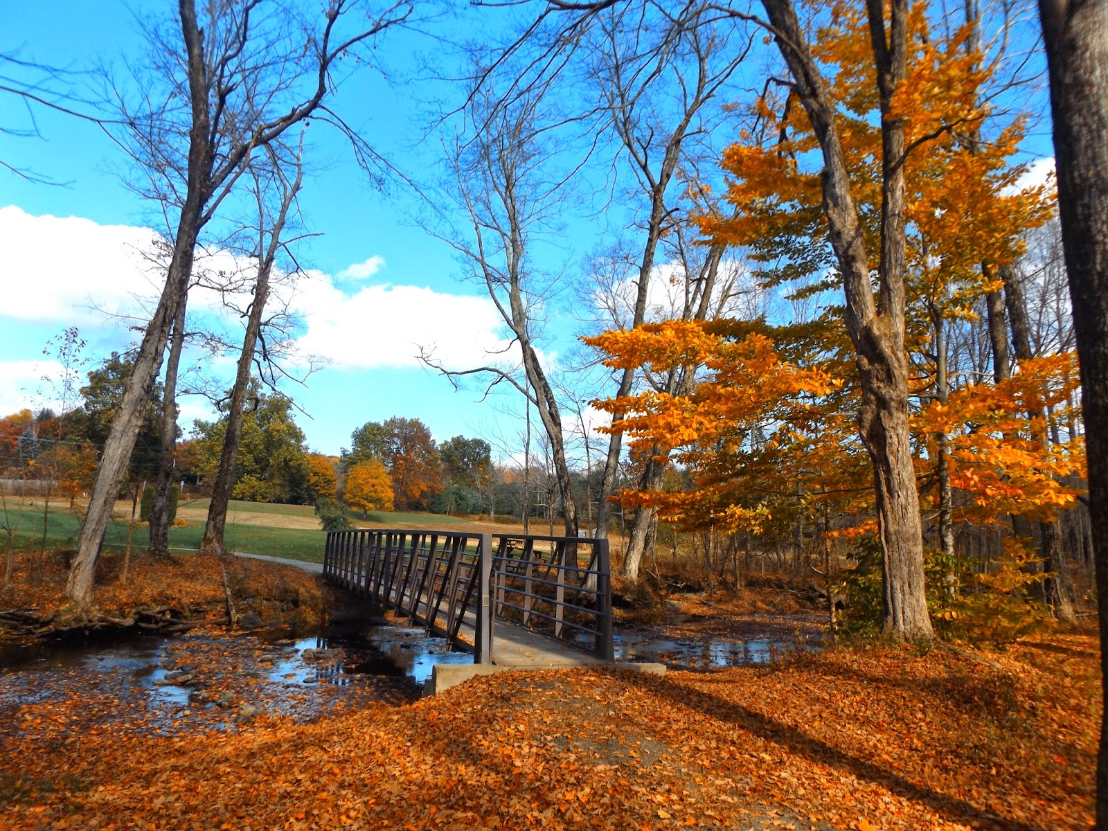 Walking Man 24 7 Lunchtime Stroll at Schodack Town Park