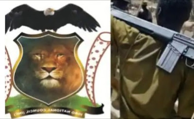 Operation Lion Walk Goes Tough, Chase Herdsmen Out Of 3 Imo Communities 