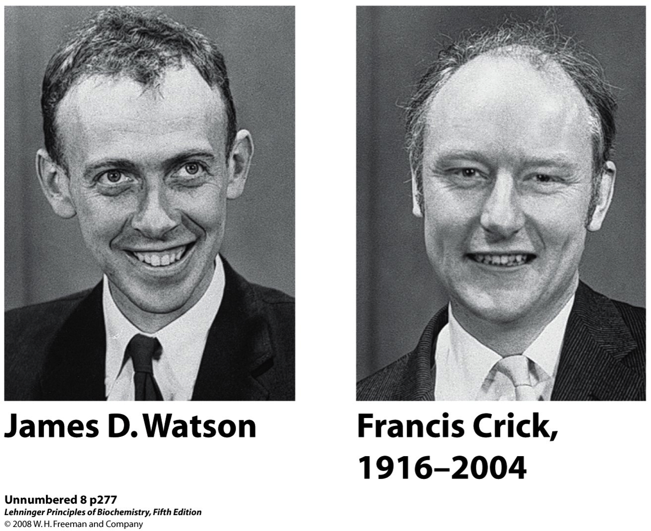 James Watson Facts