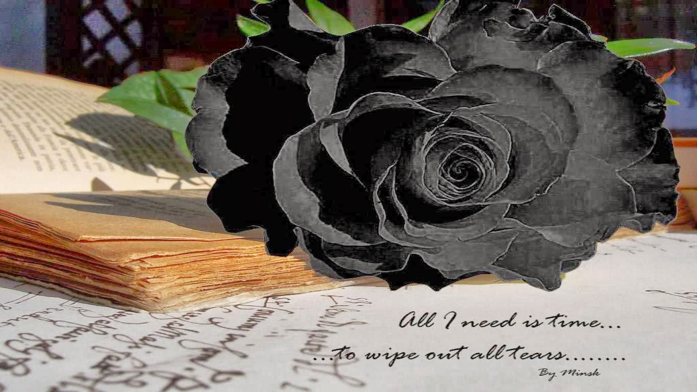 Black Rose Wallpapers - keywords HERE