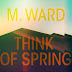 M. Ward - Think of Spring Music Album Reviews