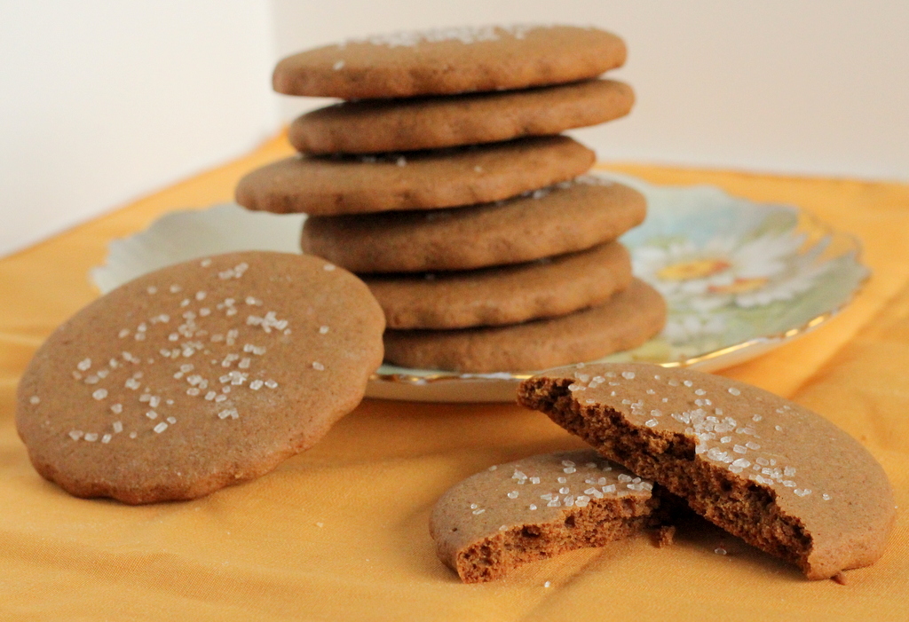 Tried in Blue Flashback Friday Soft Molasses Cookies