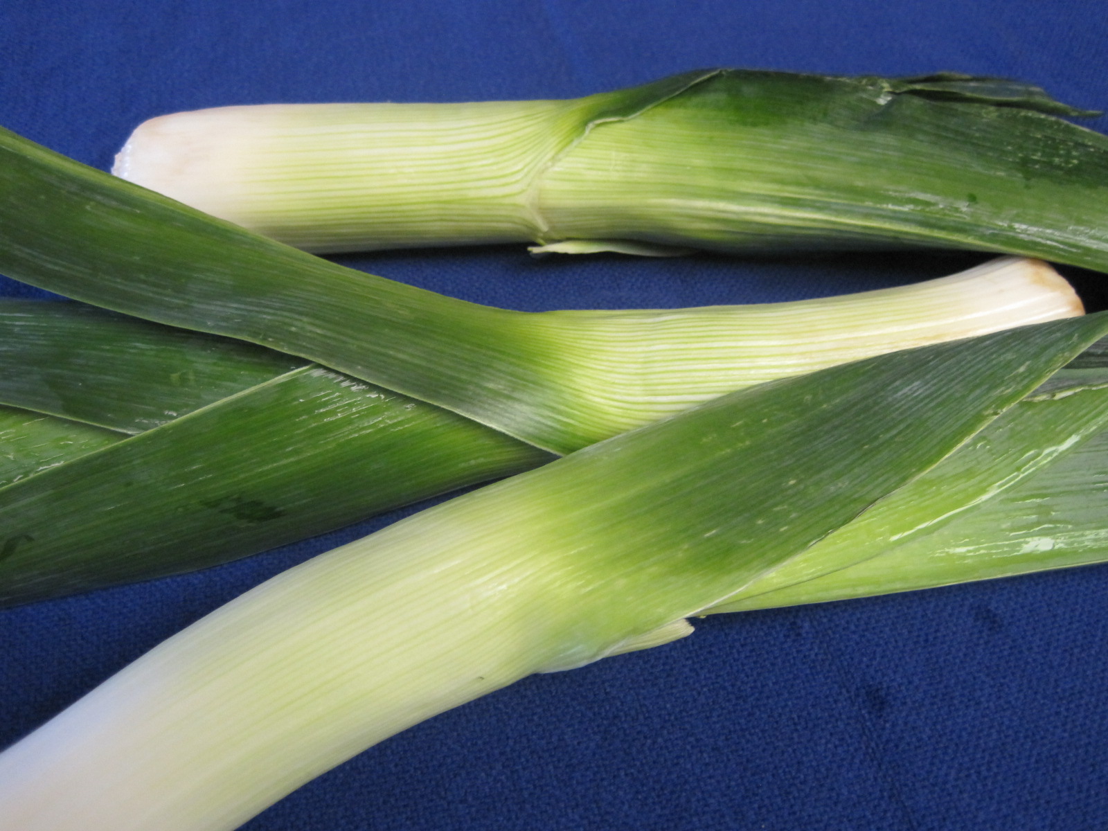 Mom's Cooking Help Leeks What Are They and How Do I Cook Them?