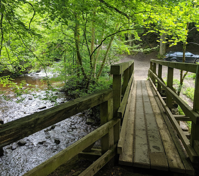 Falling Foss Tea Garden North Yorkshire's Best Kept Secret North