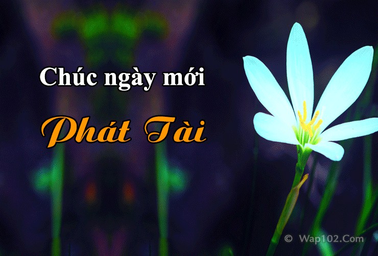 Tải 24+ Hình Ảnh Chúc Ngày Mới Tốt Lành, Vui Vẻ May Mắn