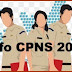 Tahapan Seleksi CPNS 2019 Dimulai Bulan Ini